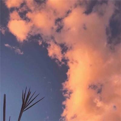 这也能填满游戏下载
